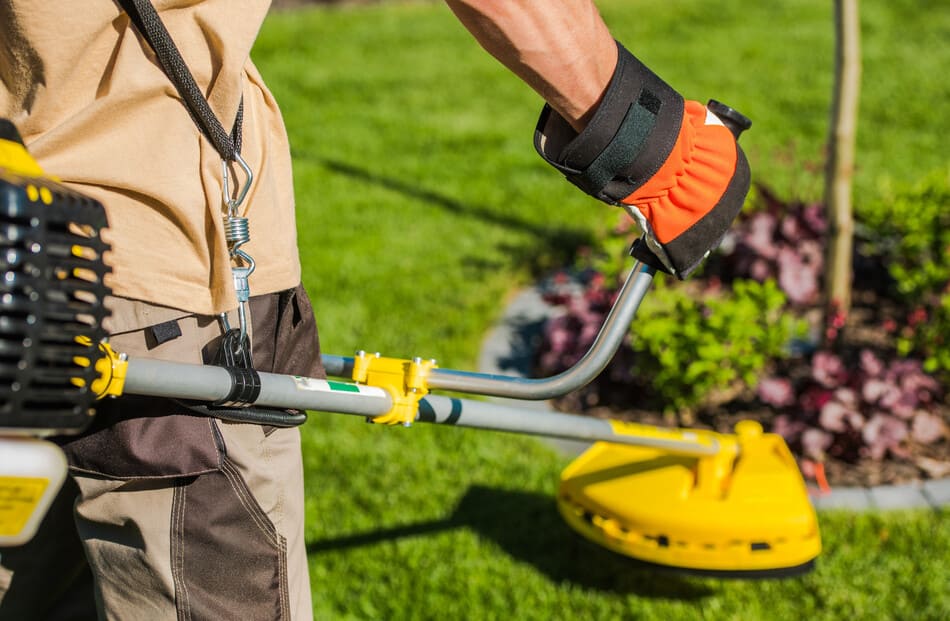 jardinero realizando mantenimiento